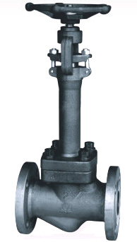 forged-steel-long-stem-cryogenic-globe-valve.jpg