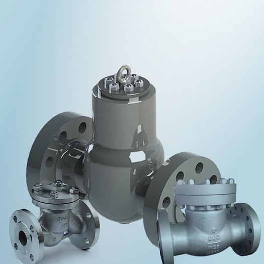 main lift check valve.jpg main lift check valve.jpg