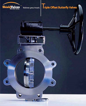 Triple Offset Butterfly Valve