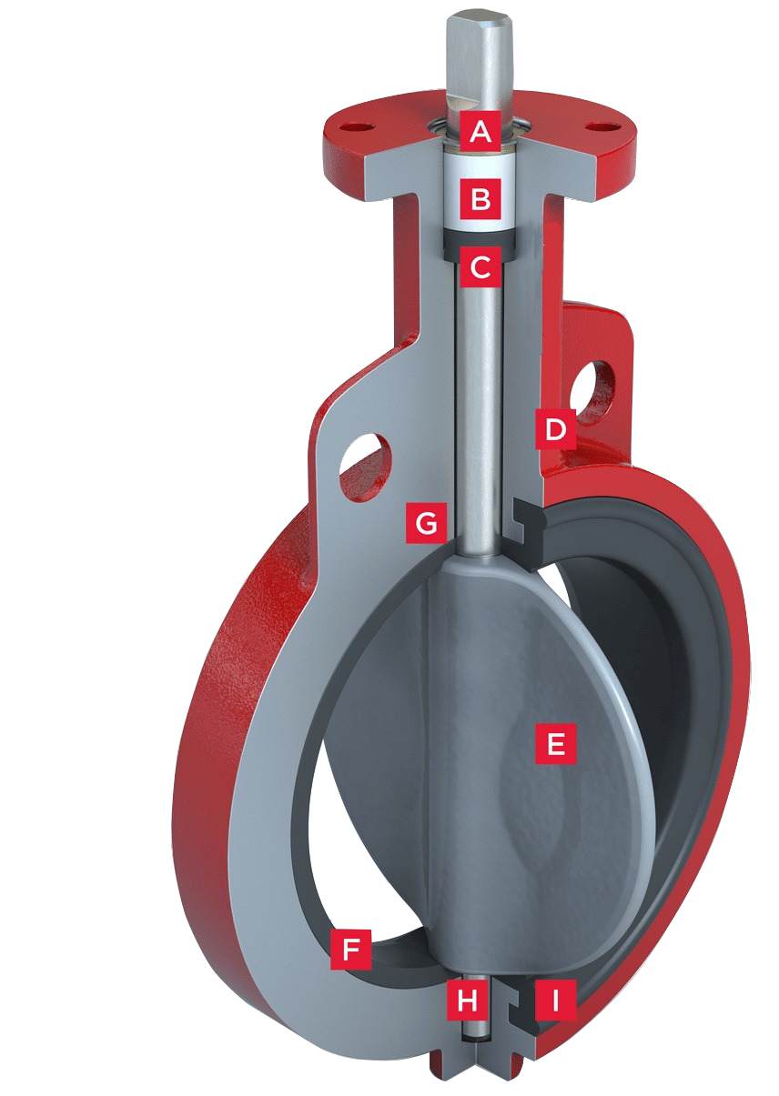Cross-sectional Diagram of Resilient Seated Butterfly Valve