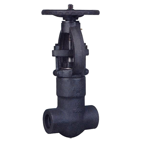 Pressure seal forged steel gate valve SW end connection