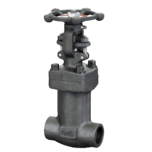 Forged steel bellowed seal gate valve 3/4inch 800lb with stem extension handwheel operated