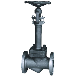 Forged steel 3/4in 800lb globe valve threaded end with stem extension