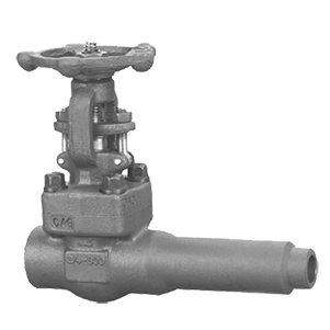 Forged steel 1in 800lb globe valve threaded end with body extension