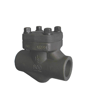 bolted bonnet forged check valve 1/2in 800lb check valve sw end