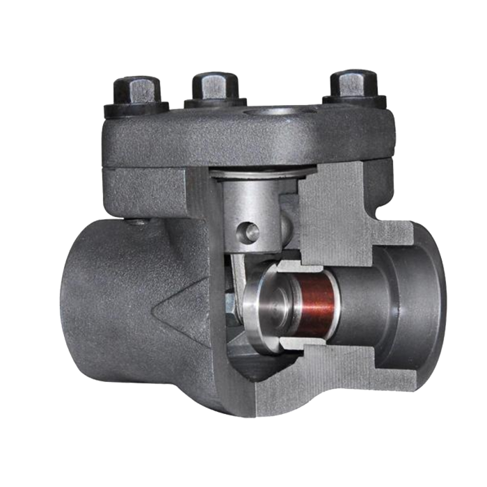 bolted bonnet forged swing check valve 1in 800lb check valve NPT end